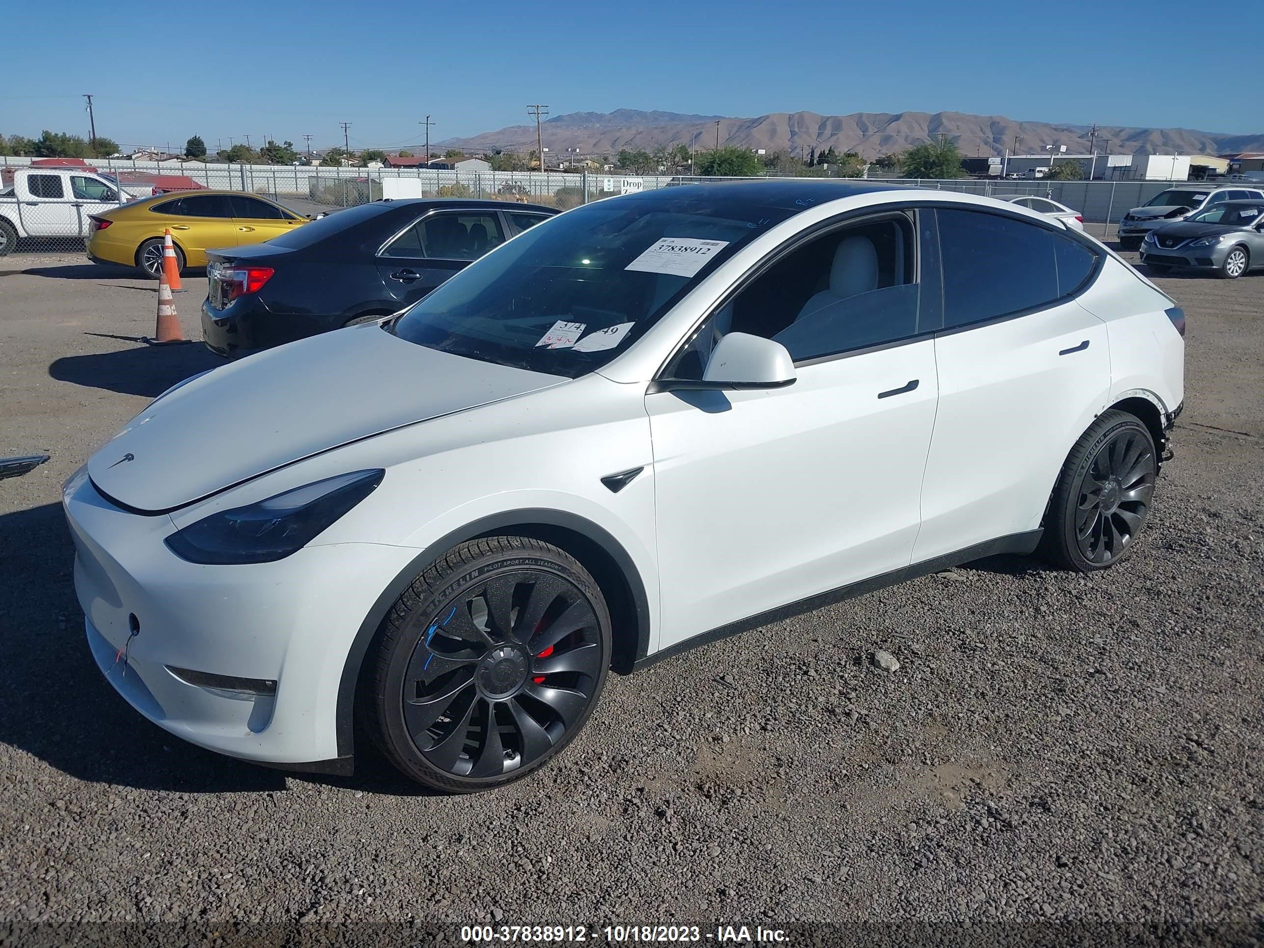 Photo 1 VIN: 7SAYGDEF1PF636654 - TESLA MODEL Y 