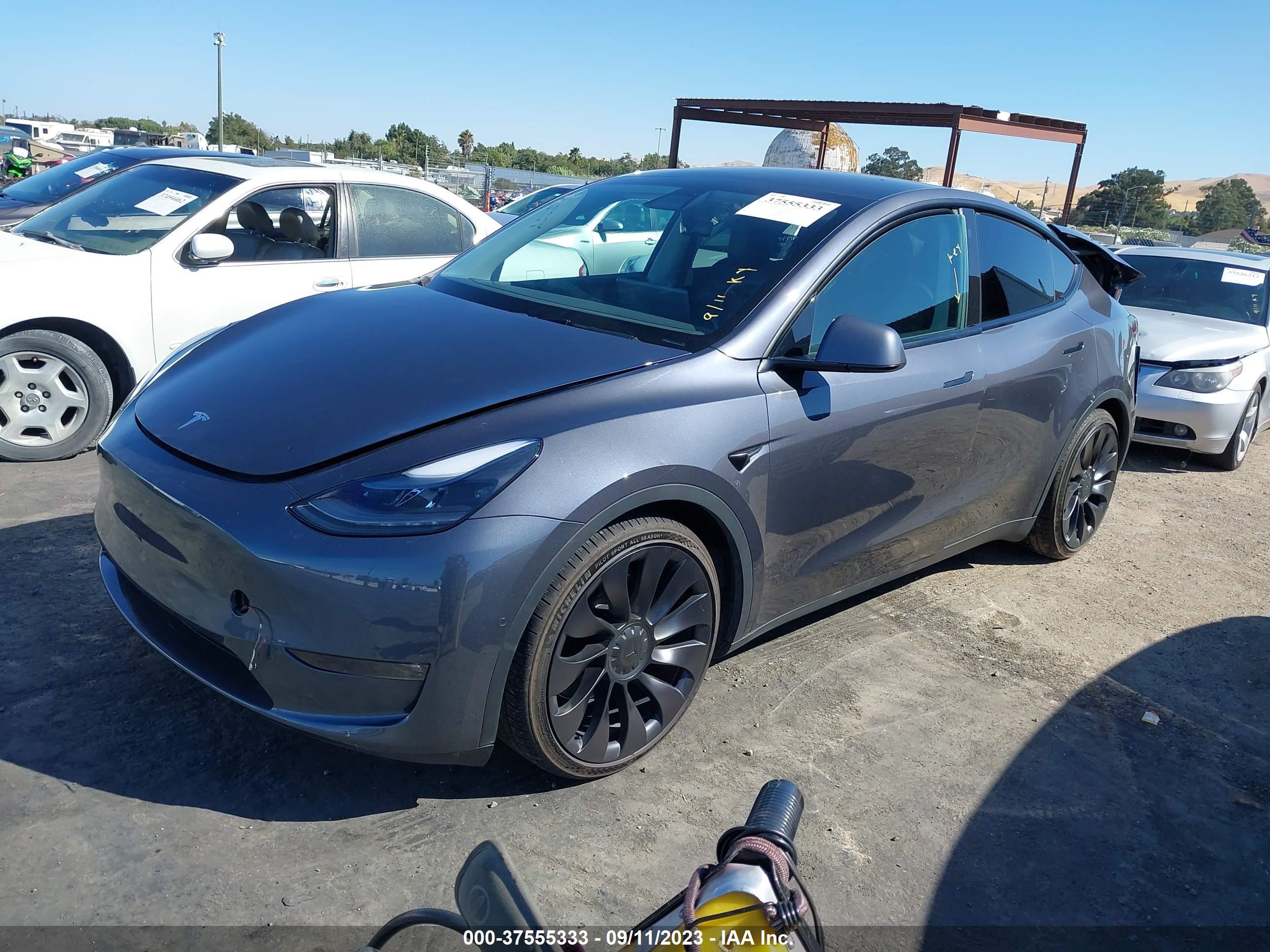 Photo 1 VIN: 7SAYGDEF2NF352432 - TESLA MODEL Y 