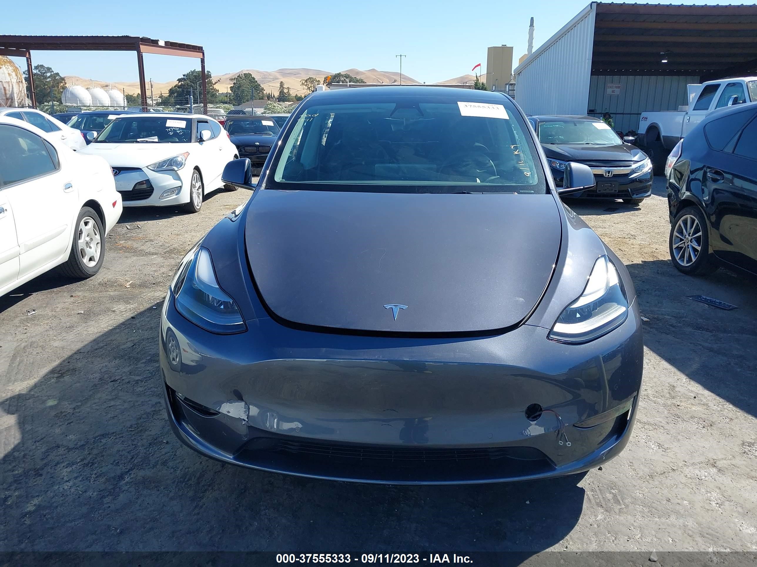 Photo 10 VIN: 7SAYGDEF2NF352432 - TESLA MODEL Y 