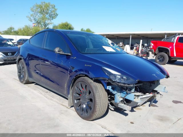 Photo 0 VIN: 7SAYGDEF2NF374852 - TESLA MODEL Y 