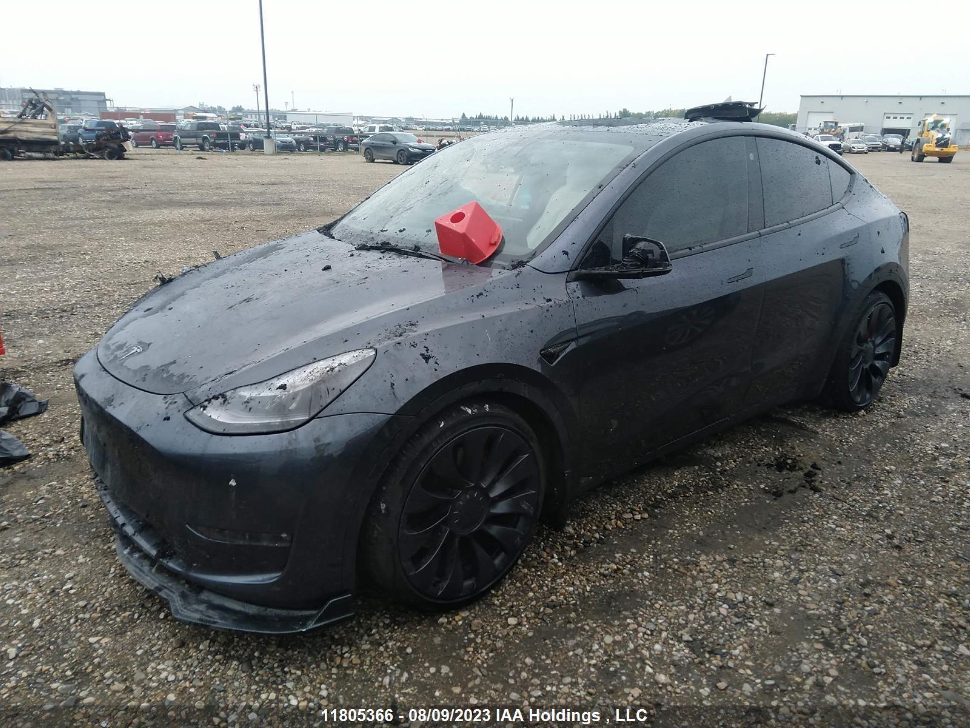 Photo 1 VIN: 7SAYGDEF2NF399265 - TESLA MODEL Y 