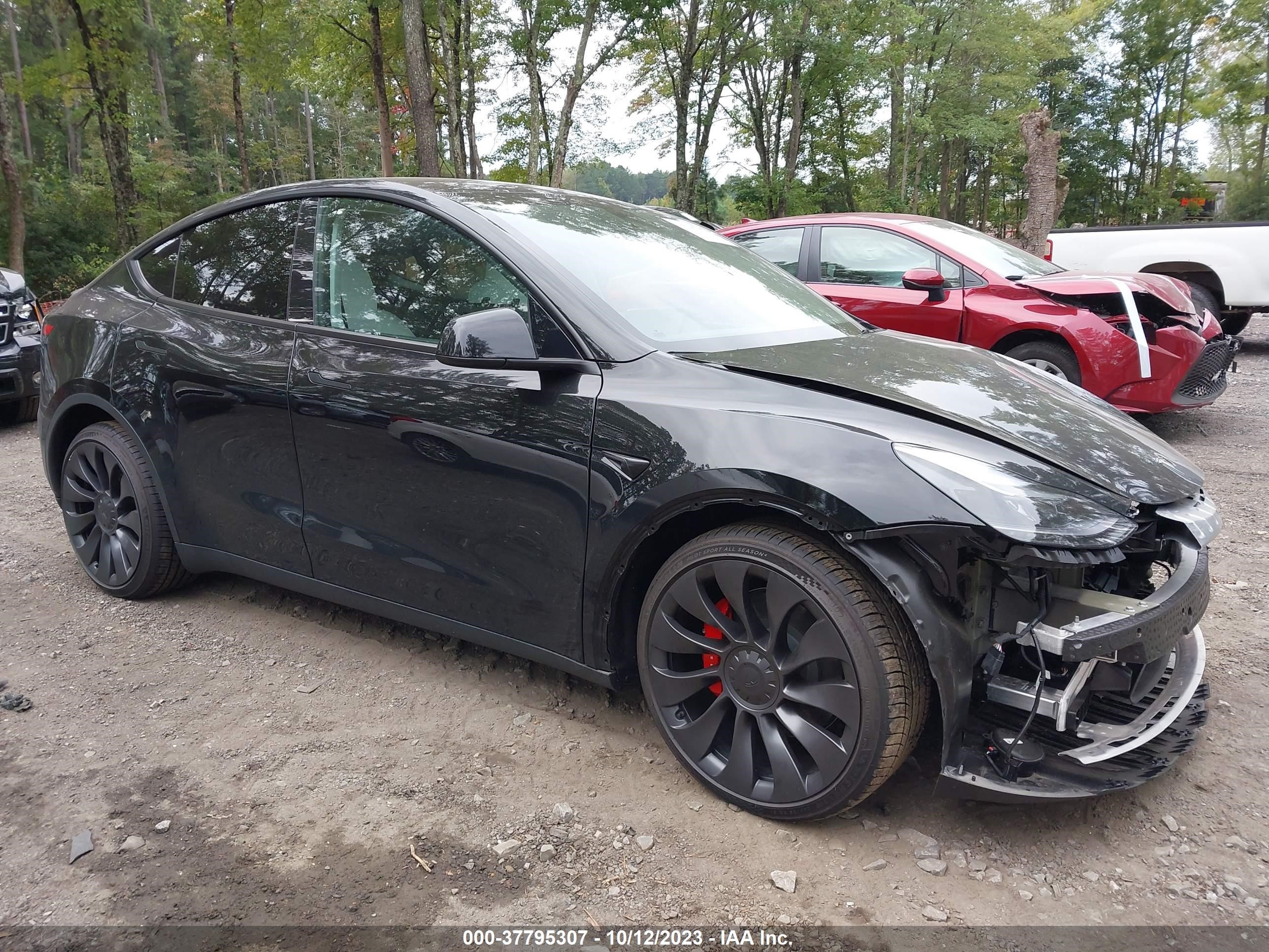 Photo 0 VIN: 7SAYGDEF2PF786269 - TESLA MODEL Y 