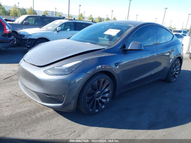 Photo 1 VIN: 7SAYGDEF2PF825426 - TESLA MODEL Y 