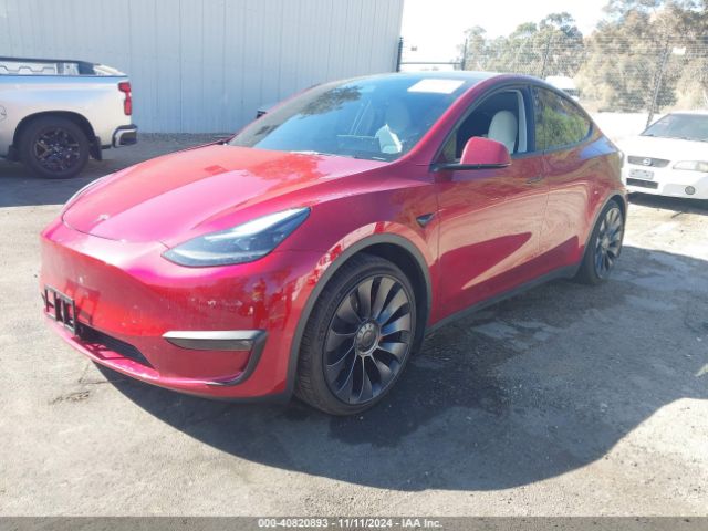 Photo 1 VIN: 7SAYGDEF2RF049253 - TESLA MODEL Y 