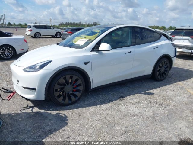 Photo 1 VIN: 7SAYGDEF3NF325076 - TESLA MODEL Y 