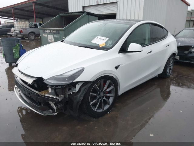 Photo 1 VIN: 7SAYGDEF3NF396262 - TESLA MODEL Y 