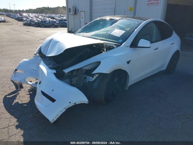 Photo 1 VIN: 7SAYGDEF3NF448912 - TESLA MODEL Y 