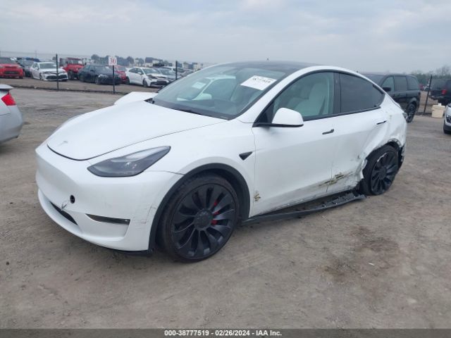 Photo 1 VIN: 7SAYGDEF3NF485619 - TESLA MODEL Y 