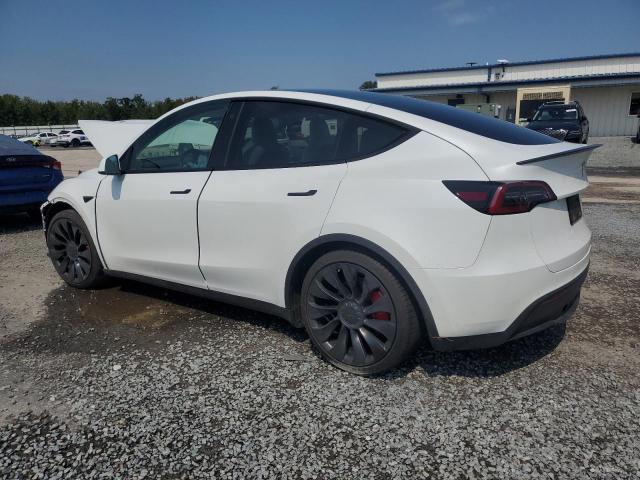 Photo 1 VIN: 7SAYGDEF3NF524130 - TESLA MODEL Y 