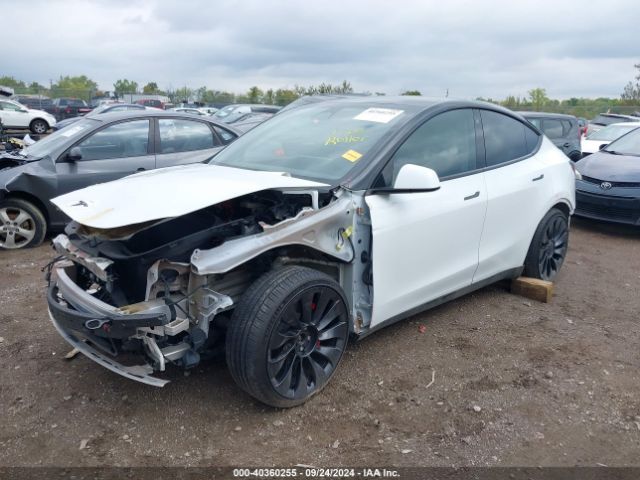 Photo 1 VIN: 7SAYGDEF3NF545785 - TESLA MODEL Y 