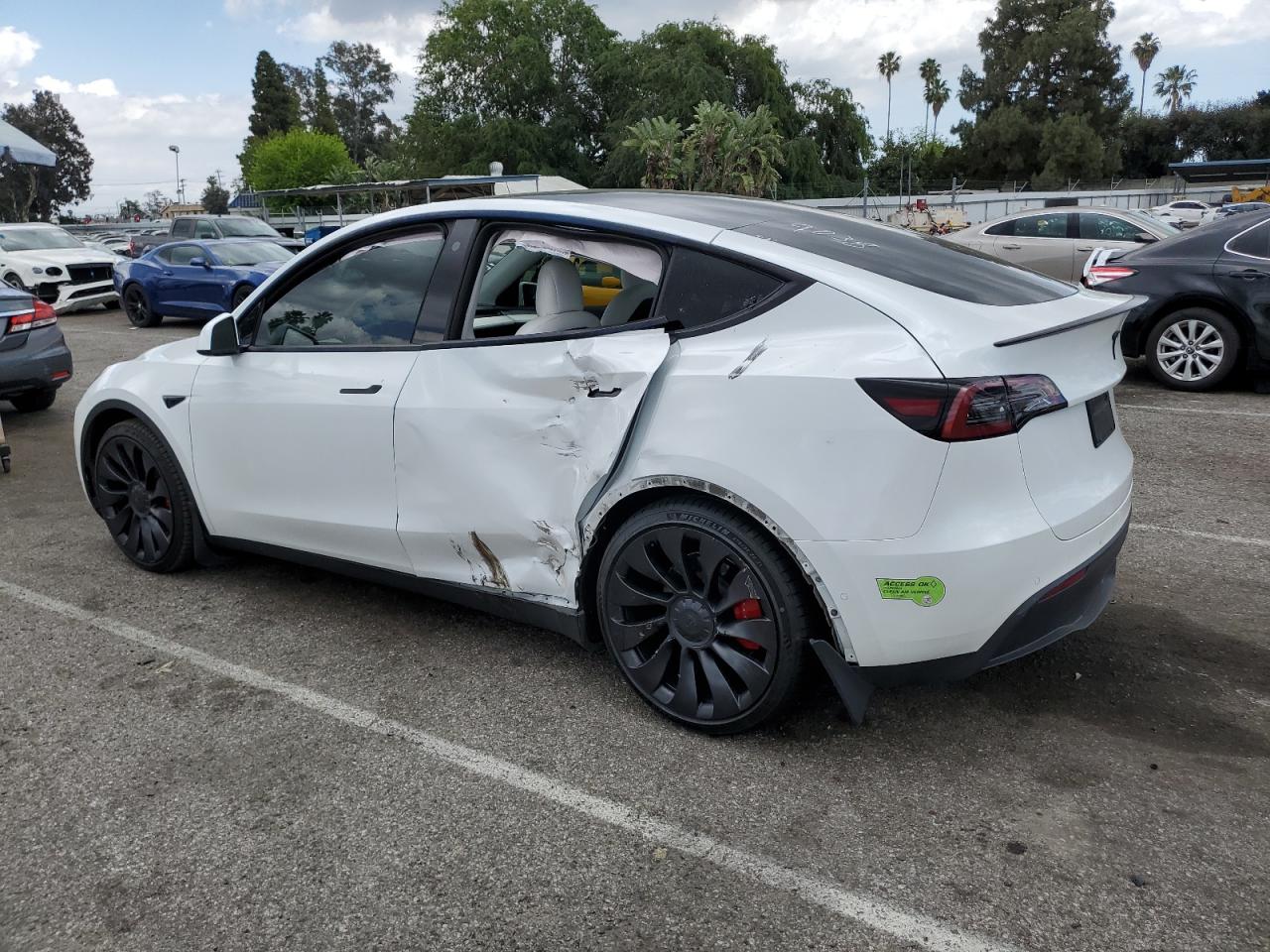 Photo 1 VIN: 7SAYGDEF3NF559038 - TESLA MODEL Y 