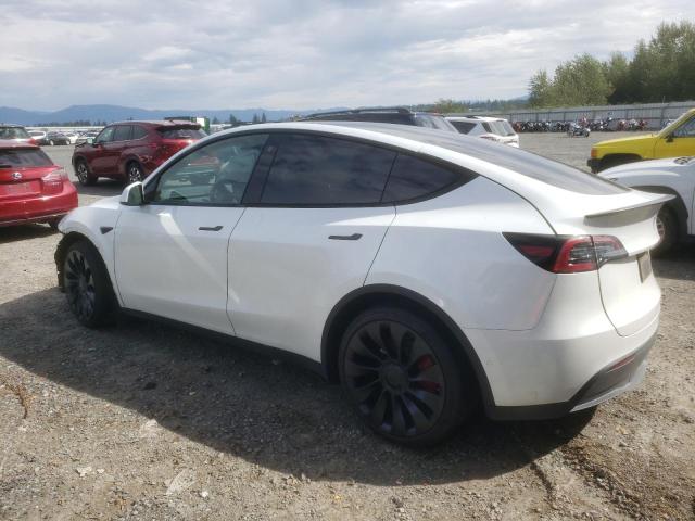 Photo 1 VIN: 7SAYGDEF3NF560996 - TESLA MODEL Y 