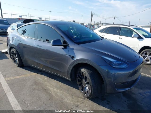 Photo 0 VIN: 7SAYGDEF3NF561002 - TESLA MODEL Y 