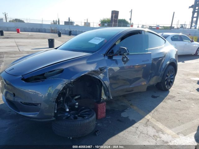 Photo 1 VIN: 7SAYGDEF3NF561002 - TESLA MODEL Y 