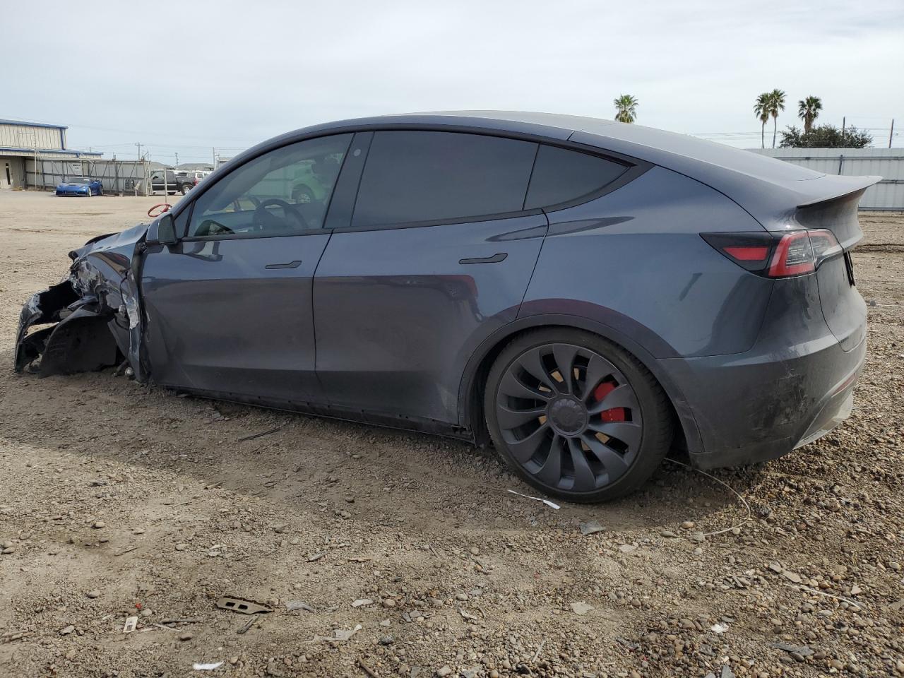 Photo 1 VIN: 7SAYGDEF3NF569407 - TESLA MODEL Y 