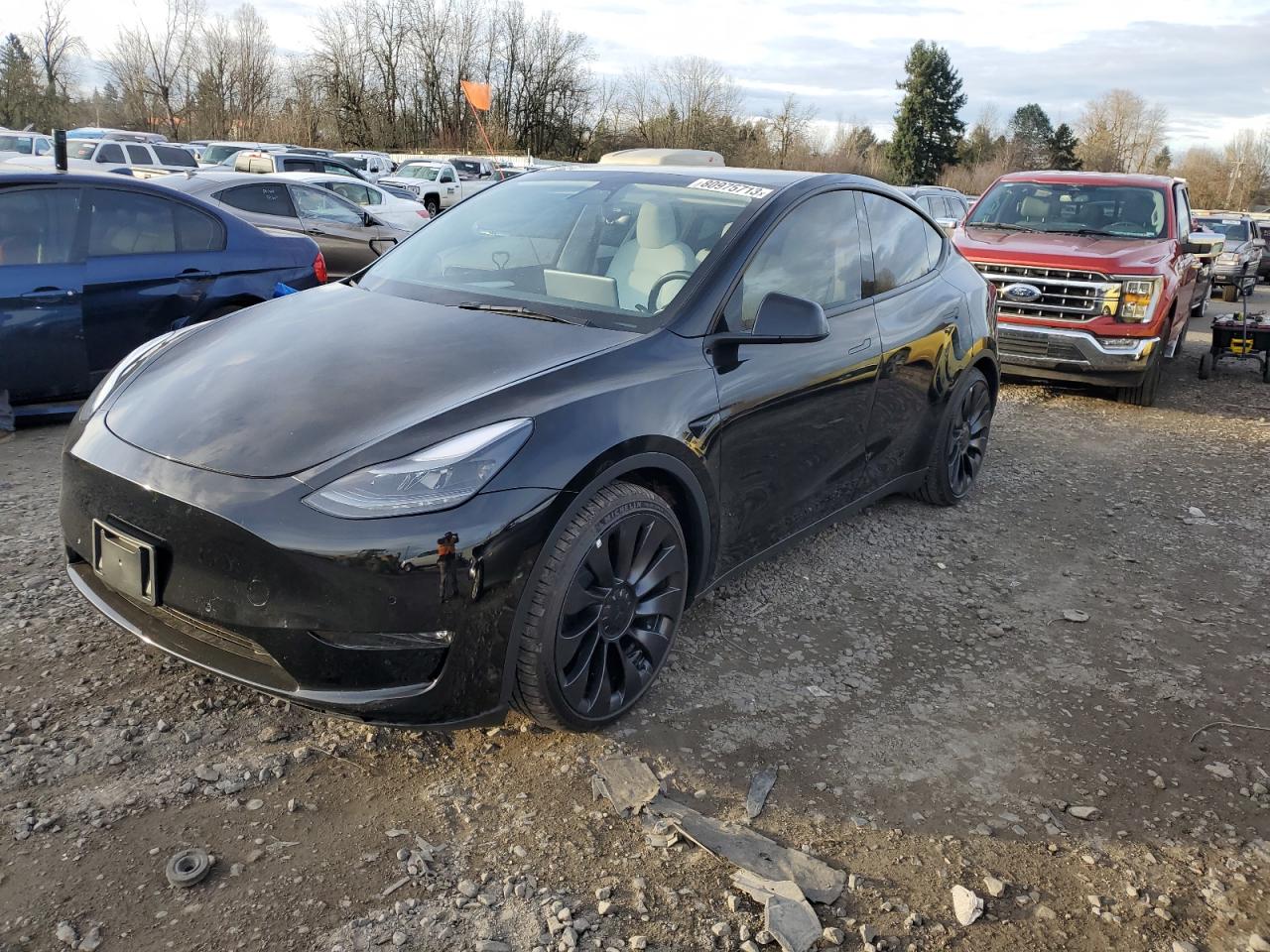 Photo 1 VIN: 7SAYGDEF3PF583164 - TESLA MODEL Y 