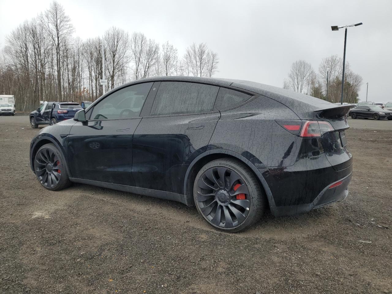 Photo 3 VIN: 7SAYGDEF3PF583164 - TESLA MODEL Y 