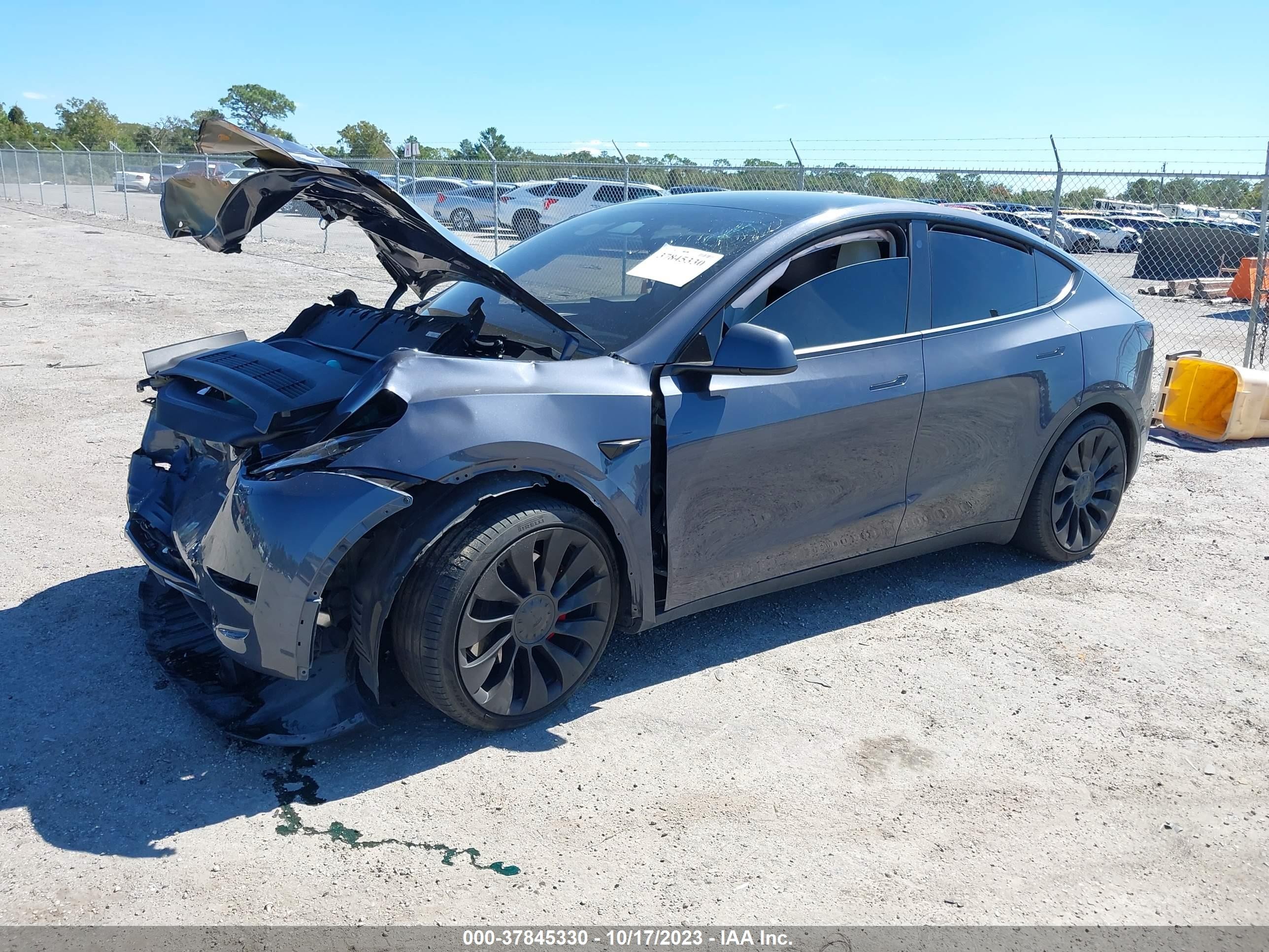 Photo 1 VIN: 7SAYGDEF3PF600867 - TESLA MODEL Y 