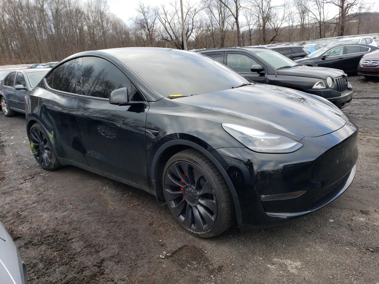 Photo 3 VIN: 7SAYGDEF3PF641354 - TESLA MODEL Y 