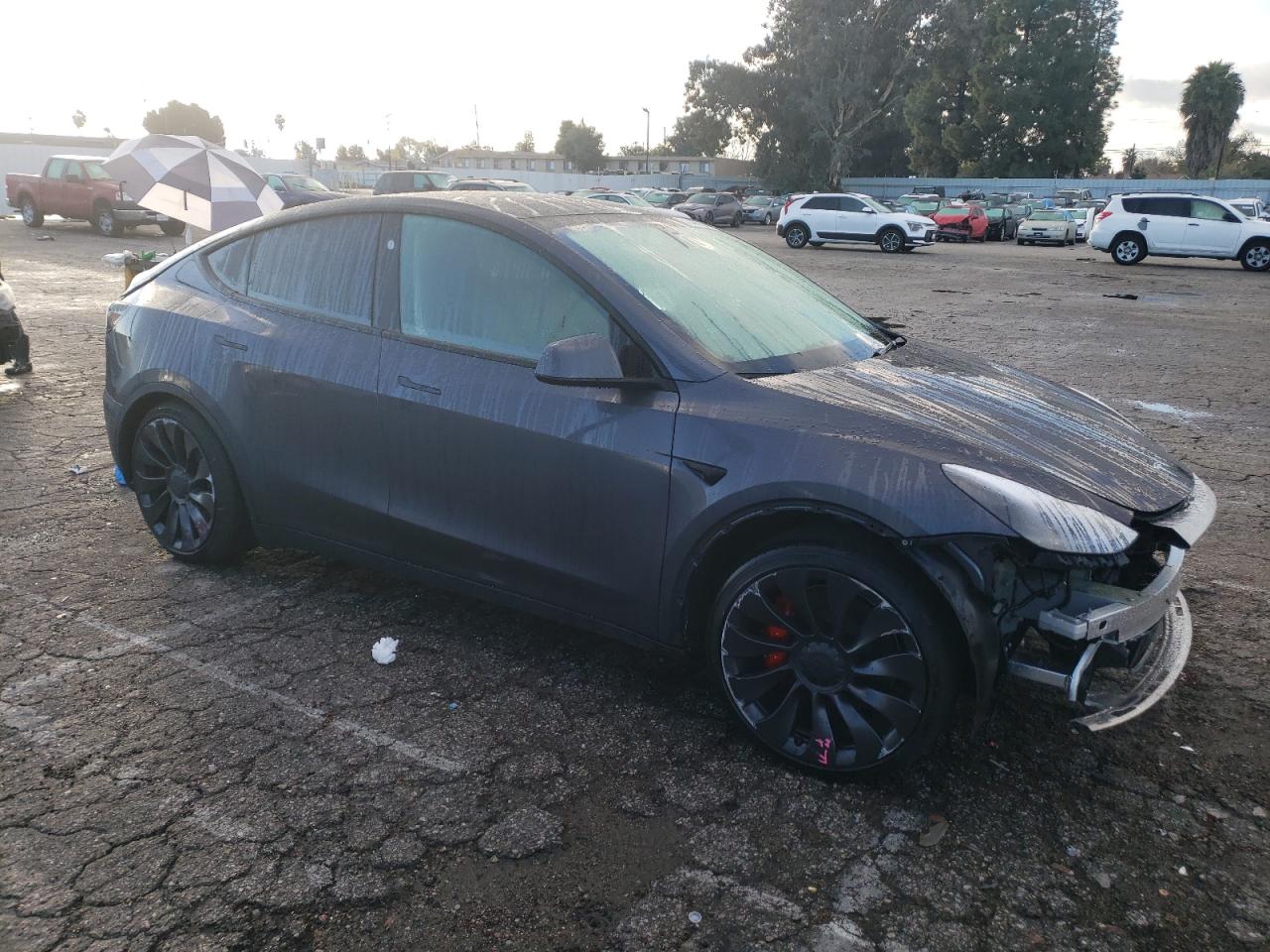 Photo 3 VIN: 7SAYGDEF3PF823555 - TESLA MODEL Y 