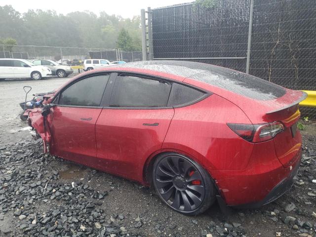 Photo 1 VIN: 7SAYGDEF3RA264699 - TESLA MODEL Y 