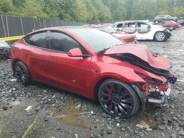 Photo 3 VIN: 7SAYGDEF3RA264699 - TESLA MODEL Y 