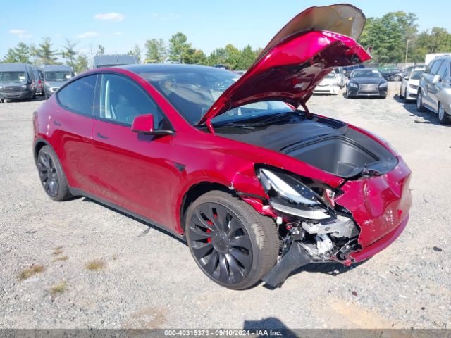 Photo 0 VIN: 7SAYGDEF3RF021719 - TESLA MODEL Y 