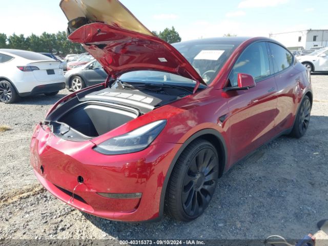 Photo 1 VIN: 7SAYGDEF3RF021719 - TESLA MODEL Y 