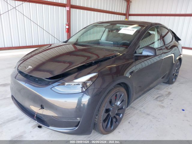 Photo 1 VIN: 7SAYGDEF3RF022191 - TESLA MODEL Y 