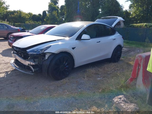 Photo 1 VIN: 7SAYGDEF4NF378255 - TESLA MODEL Y 