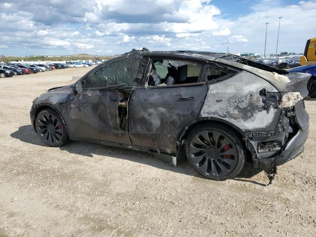 Photo 1 VIN: 7SAYGDEF4NF502007 - TESLA MODEL Y 