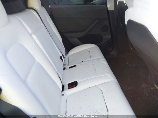 Photo 7 VIN: 7SAYGDEF4PF924667 - TESLA MODEL Y 