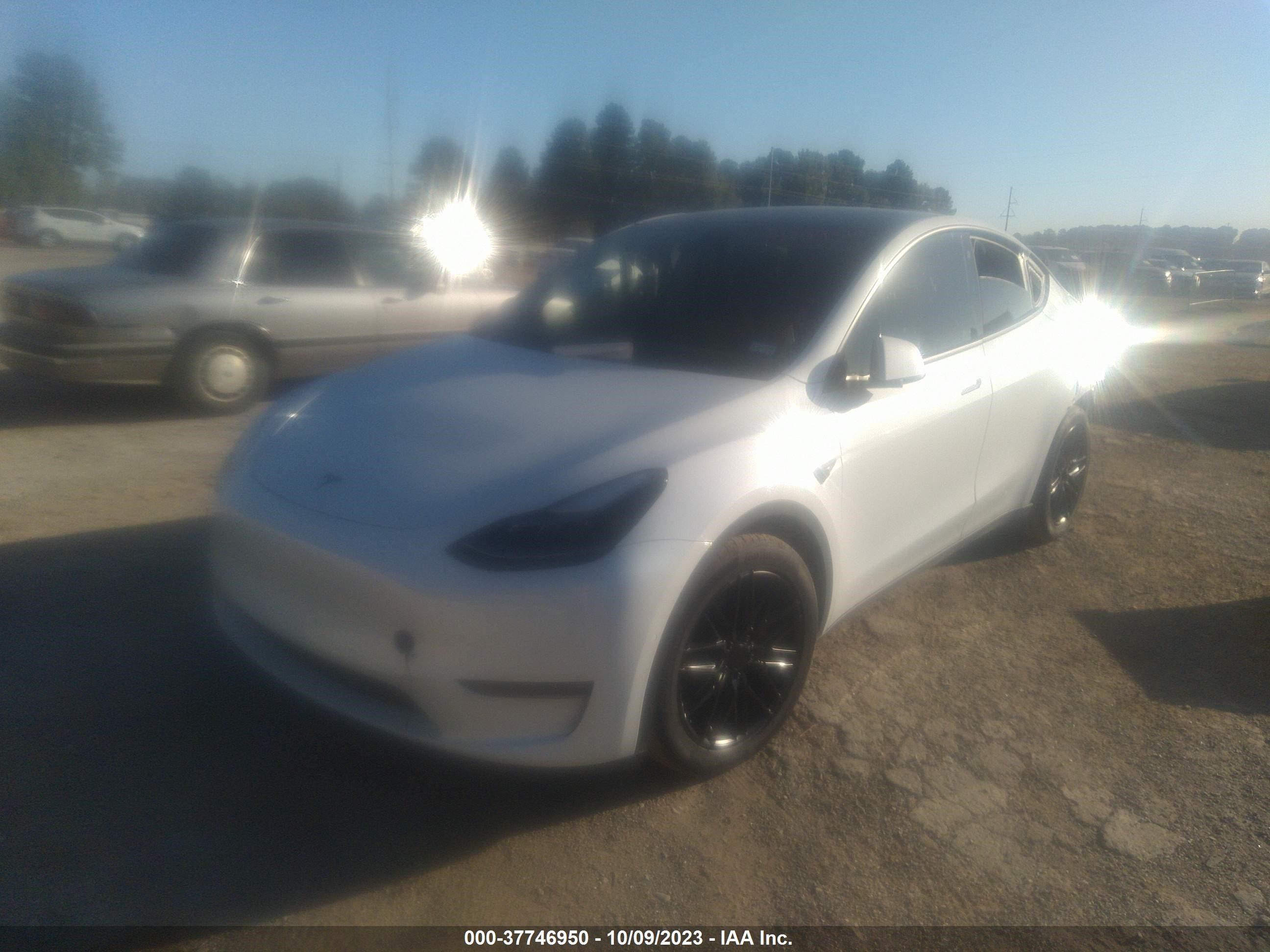 Photo 1 VIN: 7SAYGDEF5NF326701 - TESLA MODEL Y 