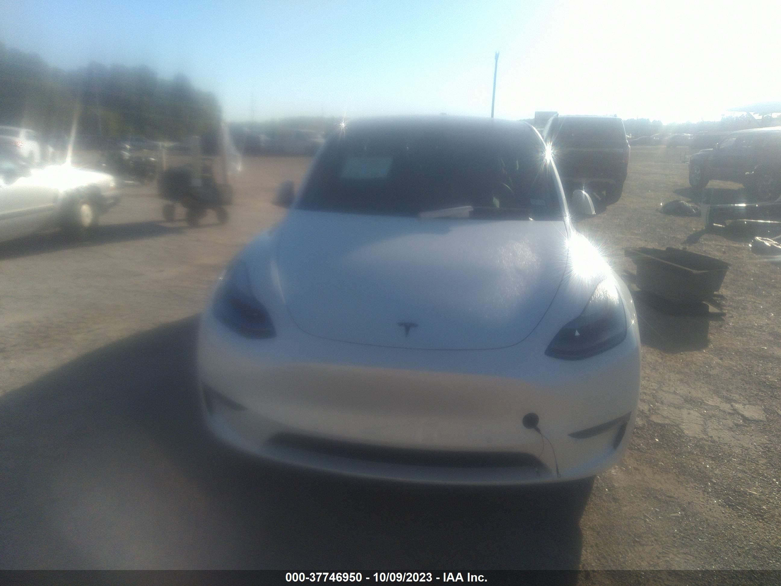 Photo 12 VIN: 7SAYGDEF5NF326701 - TESLA MODEL Y 