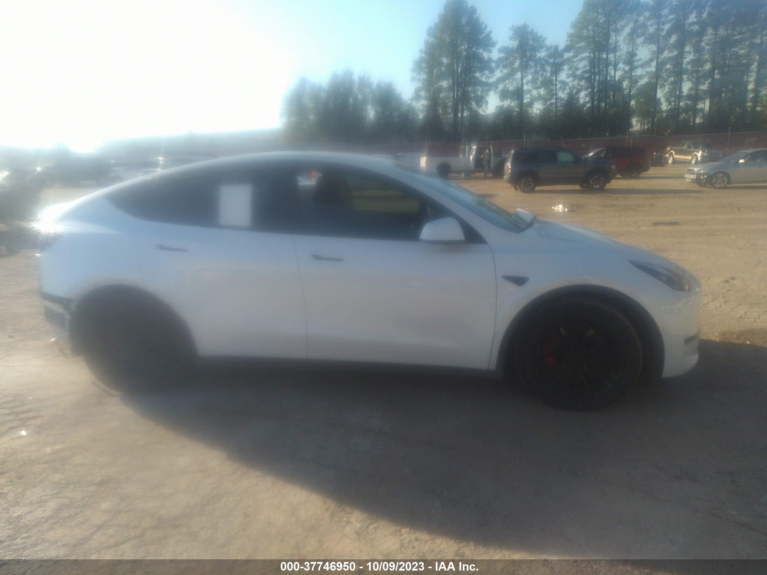 Photo 13 VIN: 7SAYGDEF5NF326701 - TESLA MODEL Y 