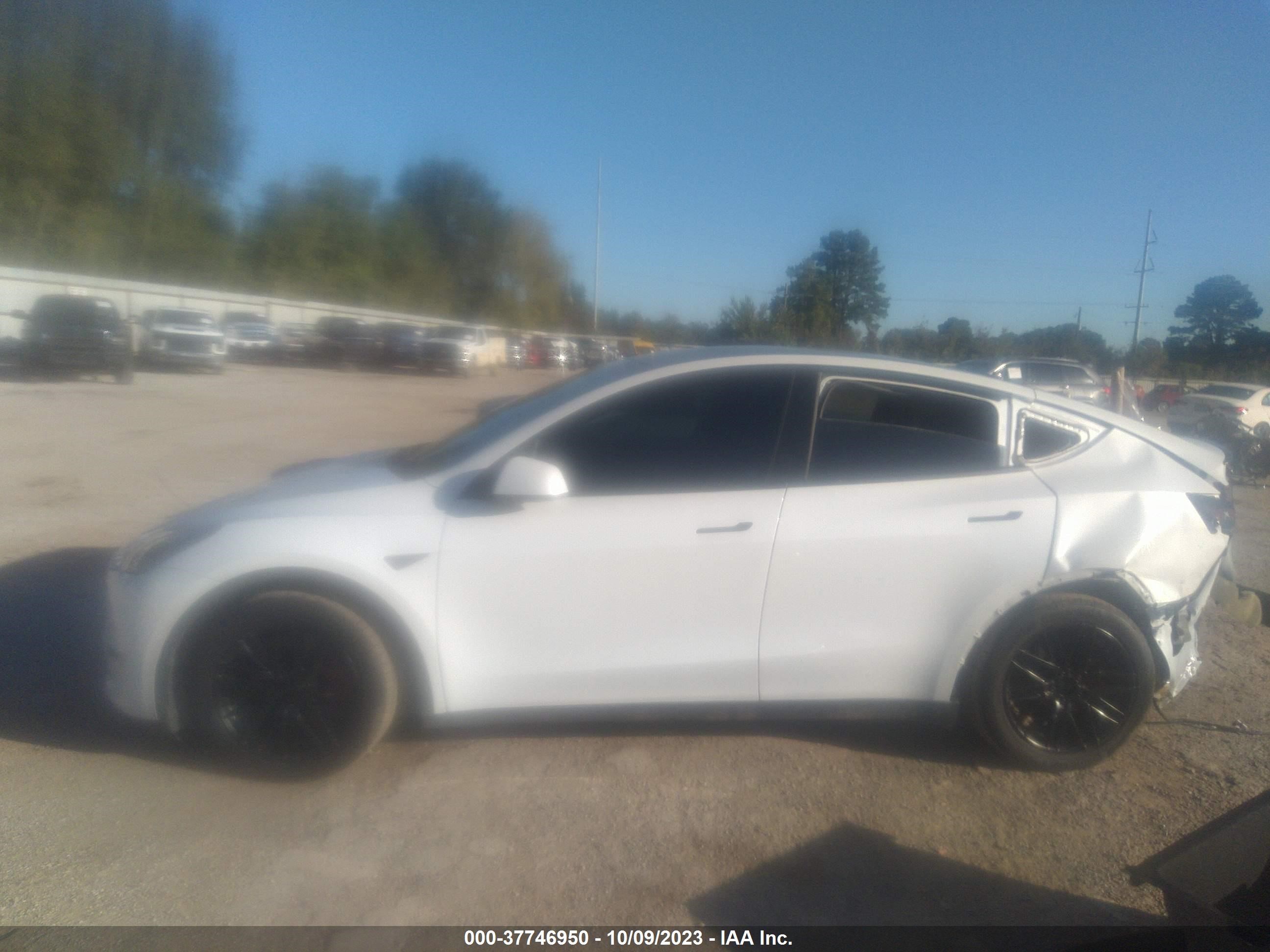 Photo 14 VIN: 7SAYGDEF5NF326701 - TESLA MODEL Y 