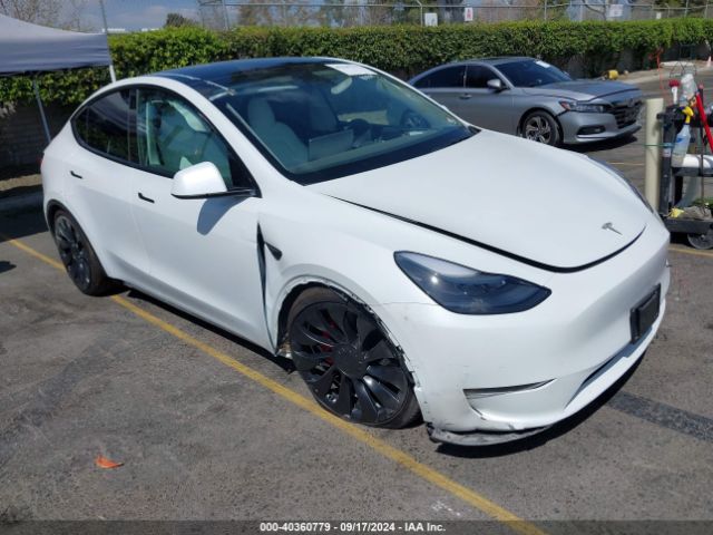 Photo 0 VIN: 7SAYGDEF5NF492152 - TESLA MODEL Y 