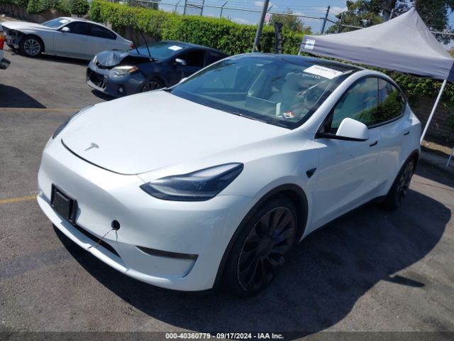 Photo 1 VIN: 7SAYGDEF5NF492152 - TESLA MODEL Y 