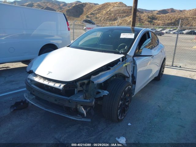 Photo 1 VIN: 7SAYGDEF5NF516921 - TESLA MODEL Y 