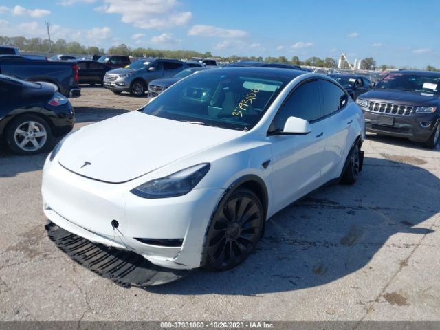 Photo 1 VIN: 7SAYGDEF5PF701800 - TESLA MODEL Y 