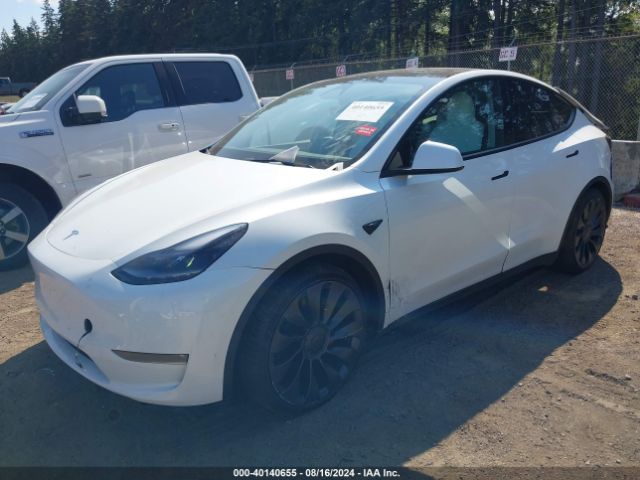 Photo 1 VIN: 7SAYGDEF5PF904749 - TESLA MODEL Y 