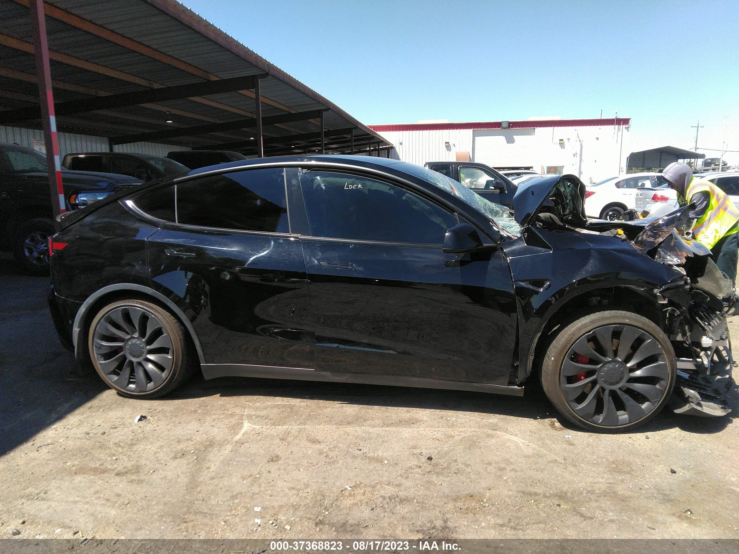 Photo 12 VIN: 7SAYGDEF6NF343118 - TESLA MODEL Y 