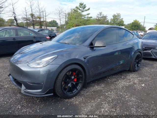 Photo 1 VIN: 7SAYGDEF6NF456583 - TESLA MODEL Y 