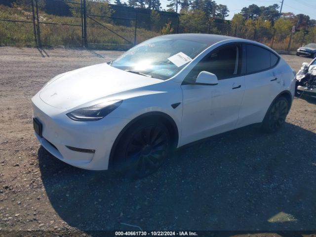 Photo 1 VIN: 7SAYGDEF6NF467860 - TESLA MODEL Y 