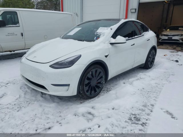 Photo 1 VIN: 7SAYGDEF6NF510920 - TESLA MODEL Y 