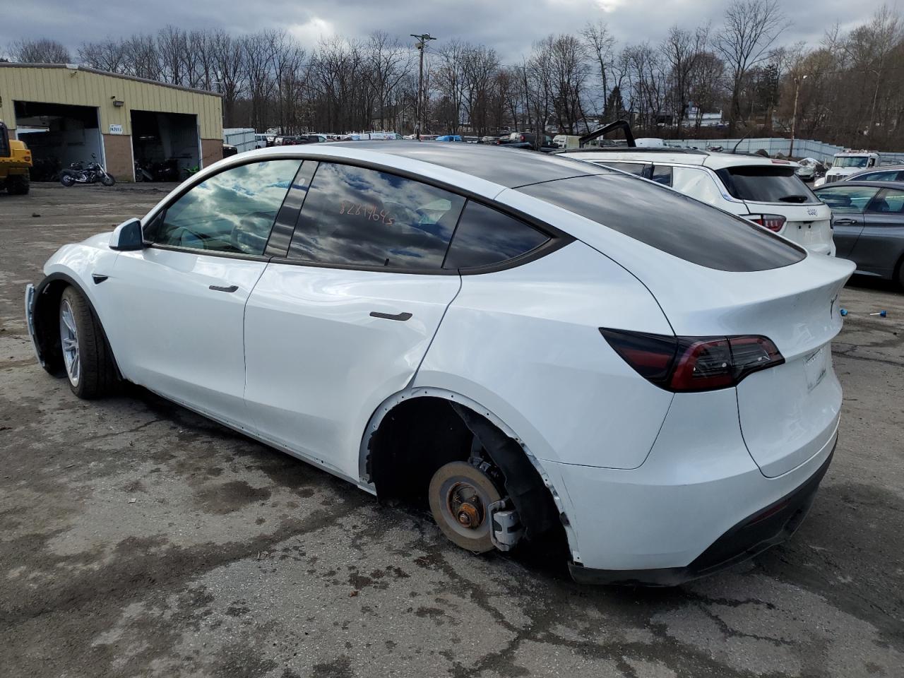 Photo 1 VIN: 7SAYGDEF6PA048889 - TESLA MODEL Y 