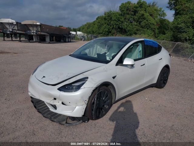 Photo 1 VIN: 7SAYGDEF7NF338882 - TESLA MODEL Y 