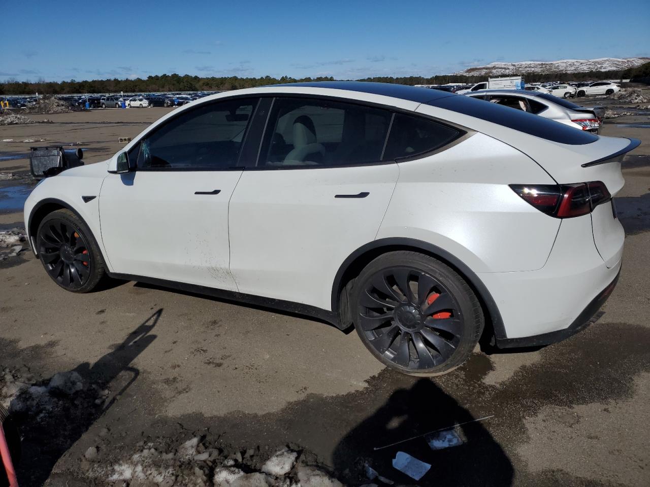 Photo 1 VIN: 7SAYGDEF7NF462974 - TESLA MODEL Y 