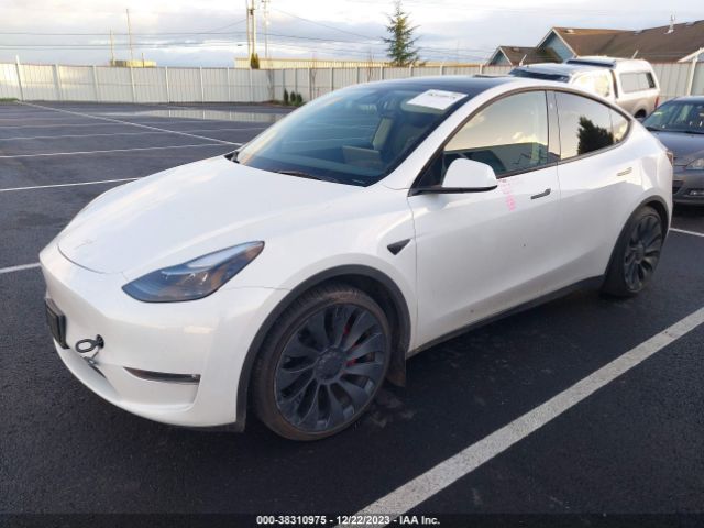 Photo 1 VIN: 7SAYGDEF7NF506116 - TESLA MODEL Y 