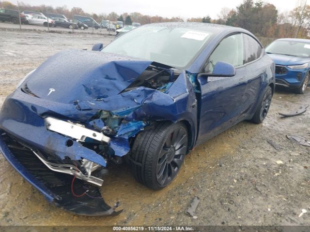 Photo 1 VIN: 7SAYGDEF7PF828919 - TESLA MODEL Y 